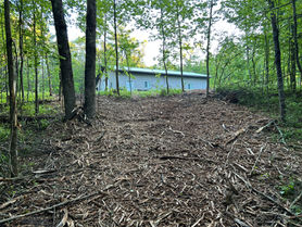 Dead Oaks are Gone!