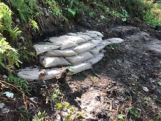 IMG-4515