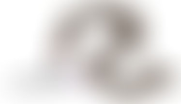 Ticks are one reason I won't kill the snakes