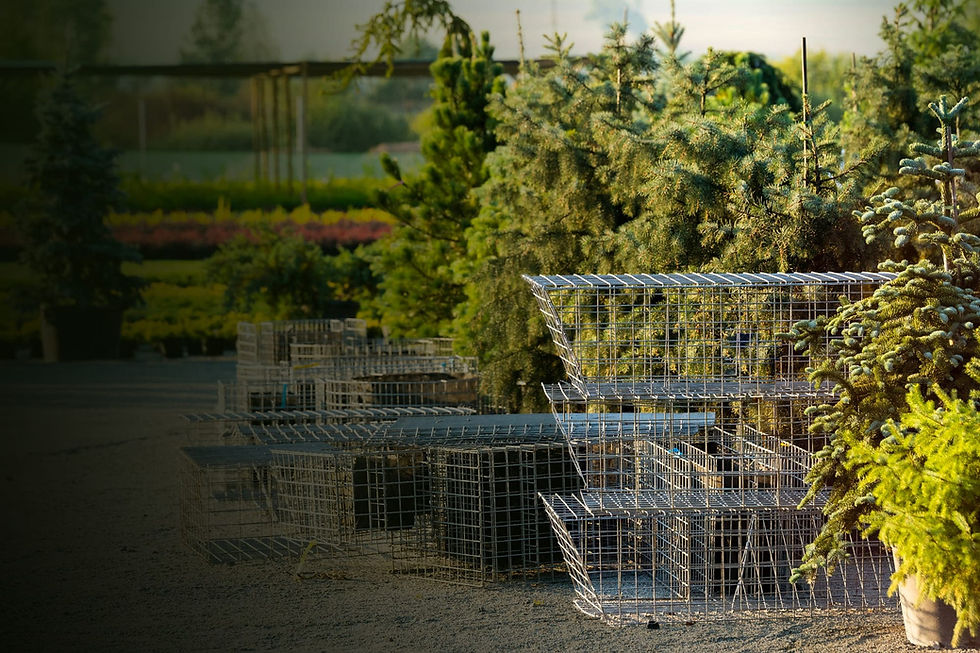 2023-02-01 12.14.46 (1).jpg