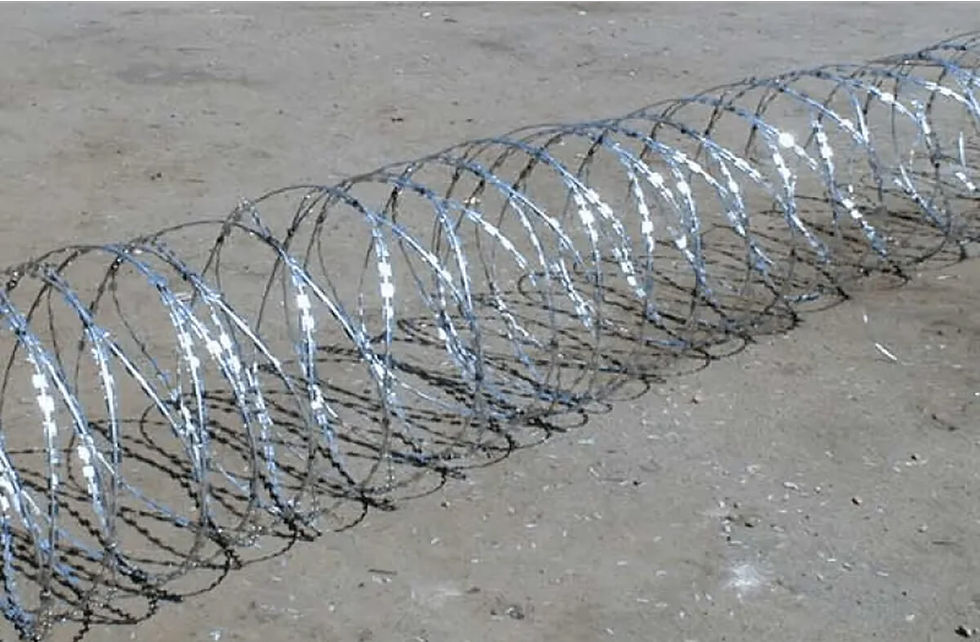 Прев'ю: Колючий дріт Єгоза