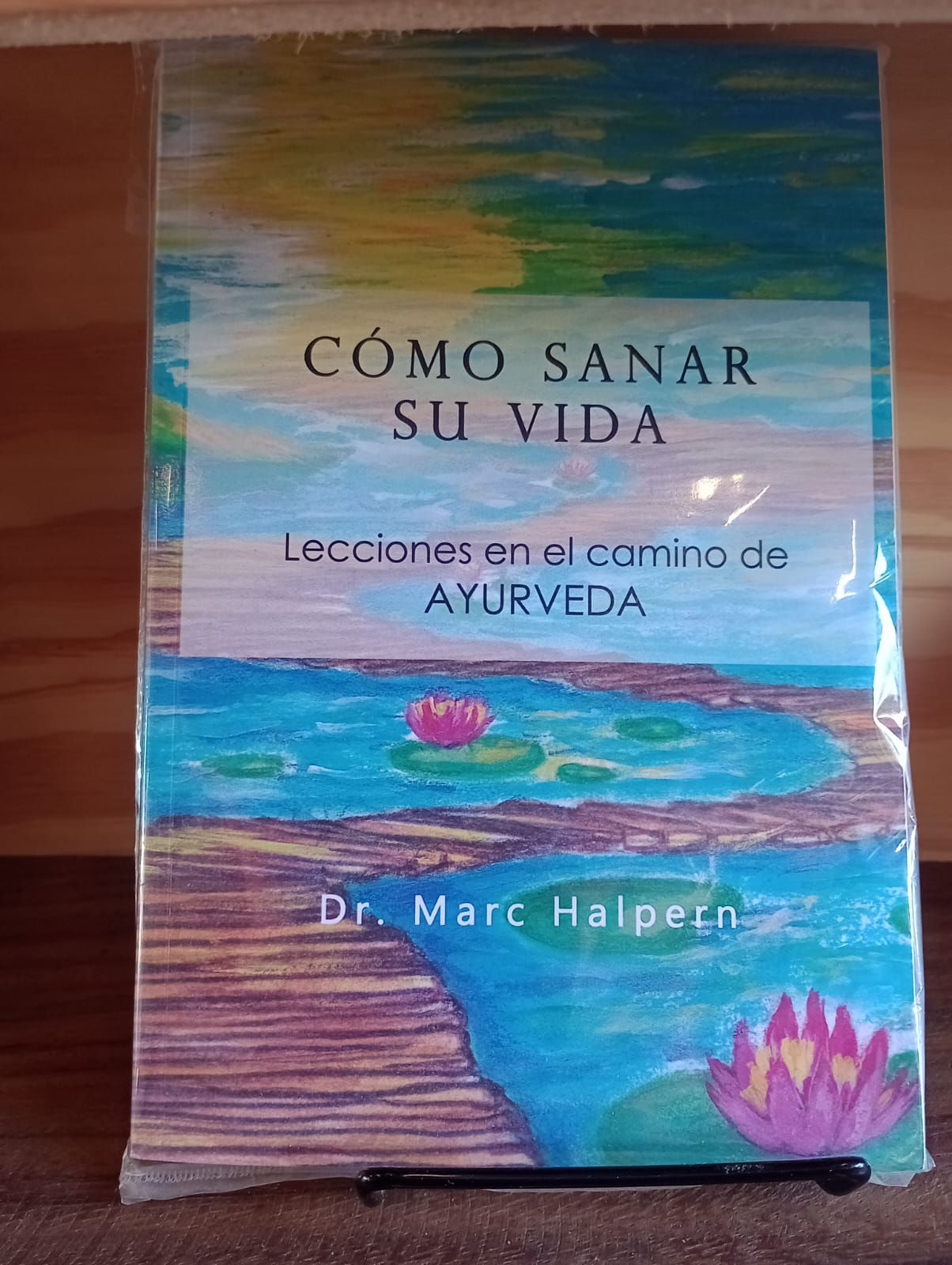 Cómo Sanar Su Vida