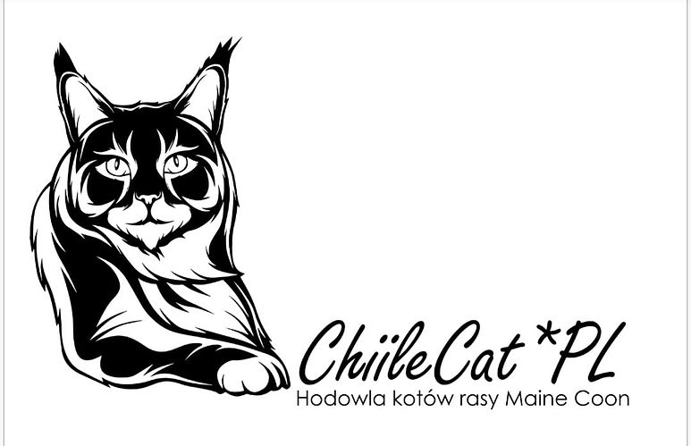 ChiileCat_Hodowla_Kotów_-_logo.jpg