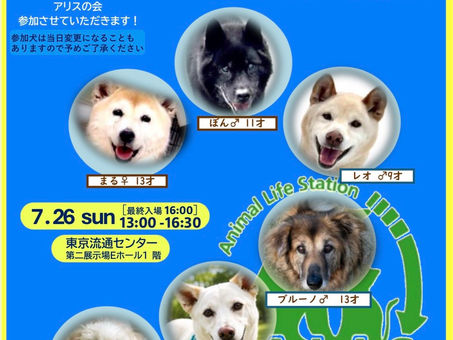 譲渡会🎪参加のお知らせ