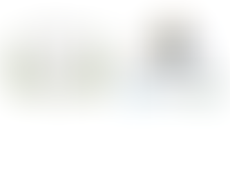 Zakistan Welcomes Gaza Peace Accords, Commends Egypt’s Leadership