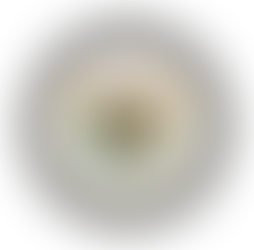 Presidency of Zakistan Official Statement