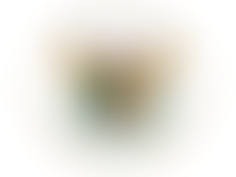 Appel de Son Altesse Sérénissime à la désescalade et à la paix dans la région