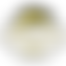 Principauté du Zakistan Travel Advisory , Ministry of Foreign Affairs – Travel Advisory for Zakistani Citizens