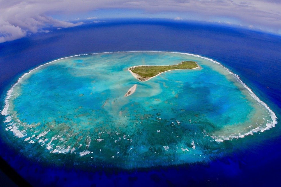oeno_aerial_medium.jpg