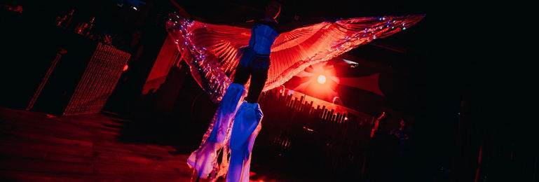 Circus