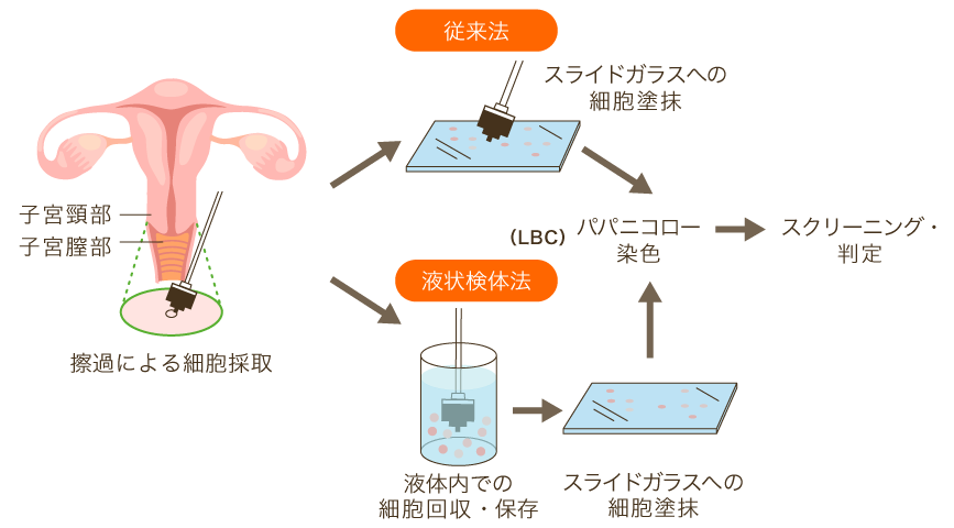 よこすか内科小児科・はるこレディースクリニック