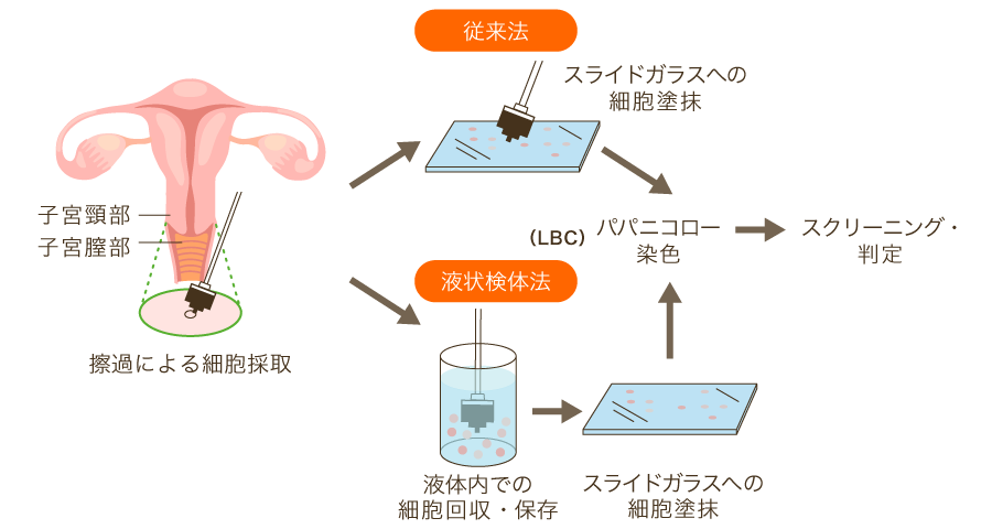 よこすか内科小児科・はるこレディースクリニック