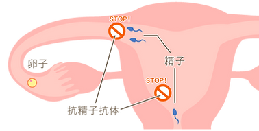 よこすか内科小児科・はるこレディースクリニック