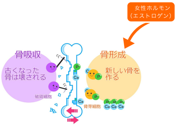 よこすか内科小児科・はるこレディースクリニック