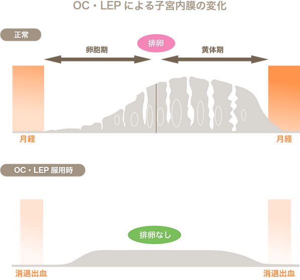 よこすか内科小児科・はるこレディースクリニック