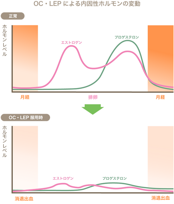 よこすか内科小児科・はるこレディースクリニック