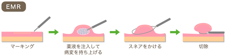 よこすか内科小児科・はるこレディースクリニック