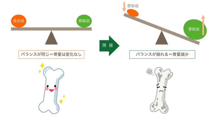 よこすか内科小児科・はるこレディースクリニック