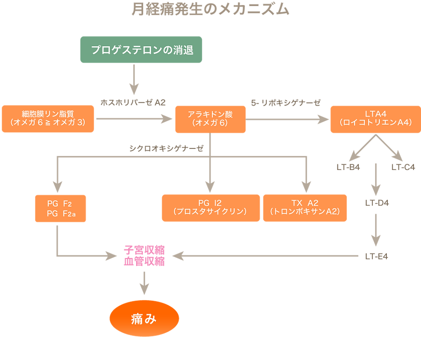 よこすか内科小児科・はるこレディースクリニック