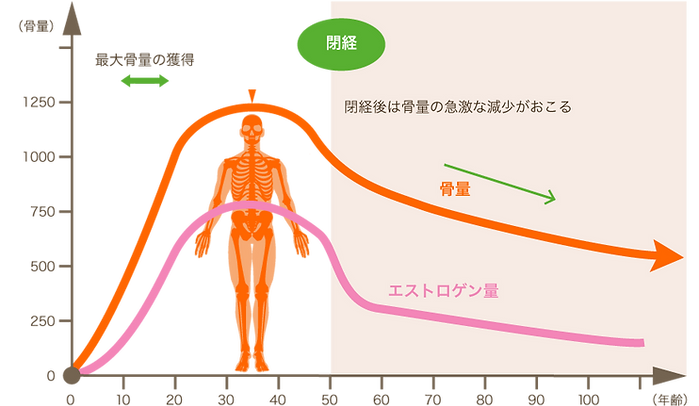 よこすか内科小児科・はるこレディースクリニック