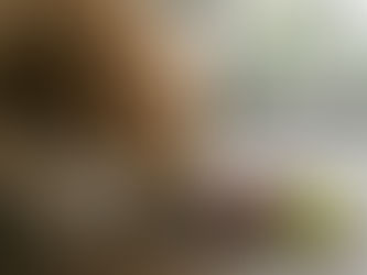 Als de hond of kat meekijkt in de keuken