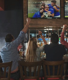 Fans Watching Game