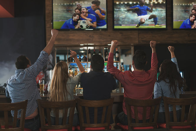 Fans Watching Game