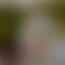 A heartfelt proposal at the romantic Sunken Gardens in Lincoln, NE, capturing the moment she said ye