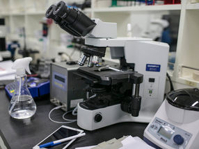 New York Times Letter on Science Fraud