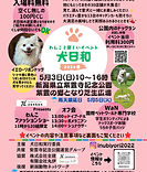 犬日和2026春.JPG