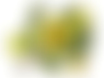 Vietnam Tribulus Terrestris Extract: A Natural Booster for Vitality