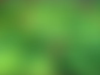 Panax Ginseng Extract: Benefits, Mechanism, and Clinical Insights