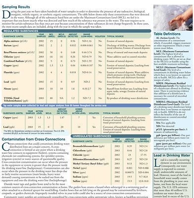 RI-brochure extract_edited.jpg