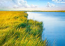 iStock-1967536922.jpg
