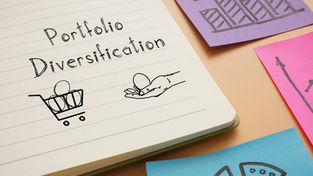 The Value of a Diversified Digital Marketing Portfolio
