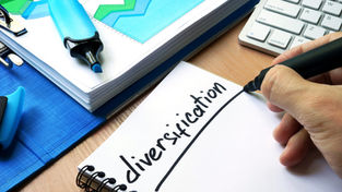The Power of a Diversified Digital Portfolio