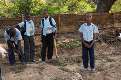 Cape Cape_Garden-95