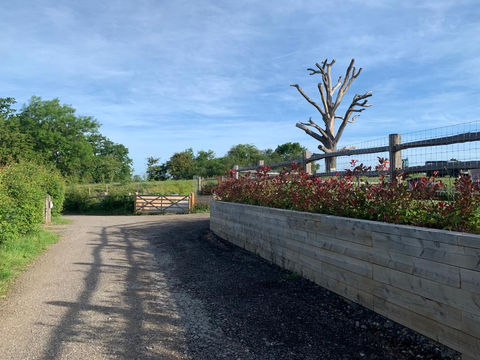 Landscaping Projects 