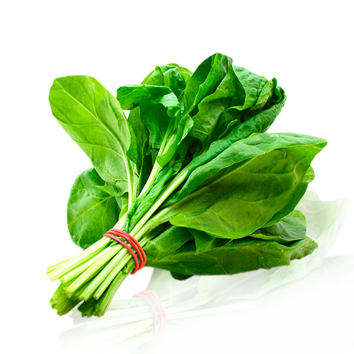 Espinaca