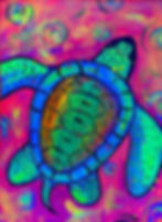 Happy Turtle