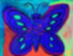 Baby Butterfly