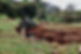 IMG_1599.jpeg