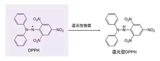 Dpphアッセイ Dojin Glocal