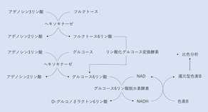 シリーズ:有機分子を見るー糖②フルクトース