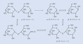 シリーズ:有機分子を見る―糖④マルトース