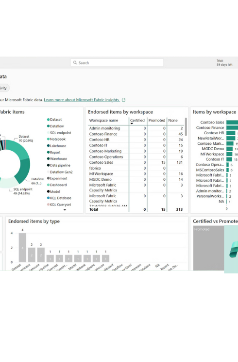 Fabric Dashboard w Logo.png