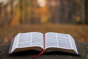 bible-faq-does-the-bible-promote-racism.