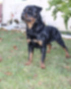 Oso 17 months