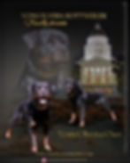 Oso vom olvera is available at stud!