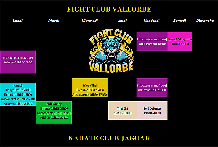 cours_arts_martiaux_2024_2025_edited_edi